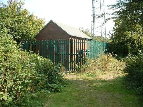 Western Park Cabin 2008